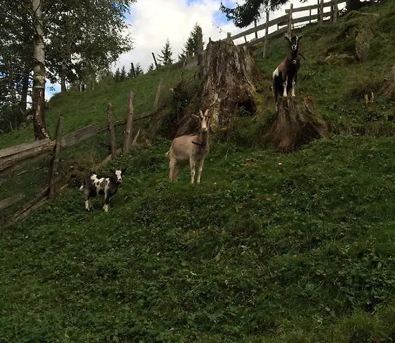 House Arianna Bad Kleinkirchheim